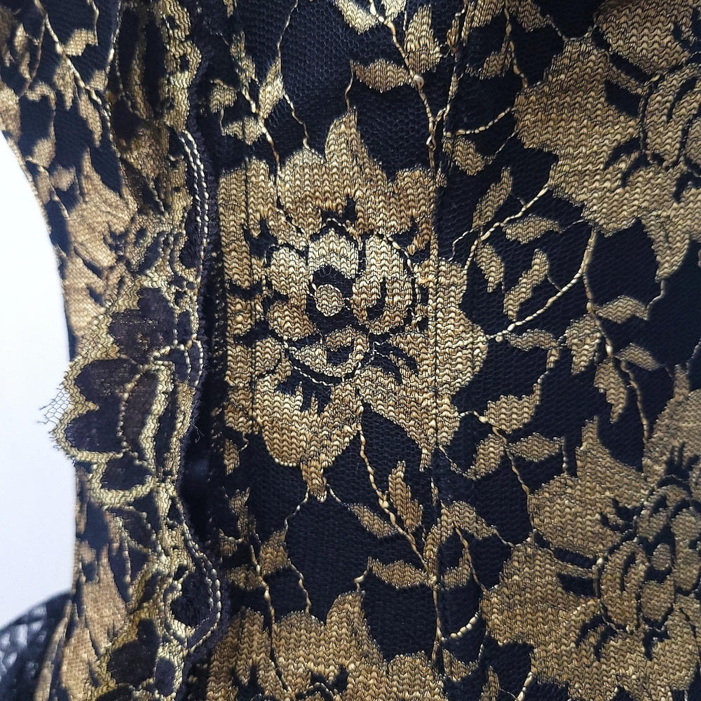 Vintage Romantic Dark Floral Gold Black Lace Ruffle Bustier Corset - Picture 9 of 10